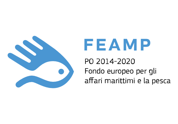 Logo Feamp-min